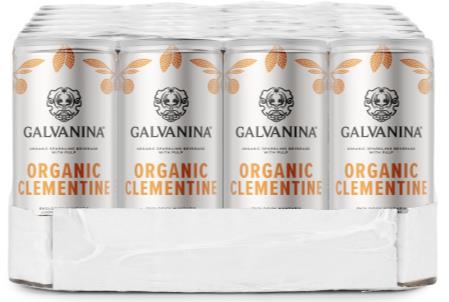 Galvanina Bio Limonade Orange